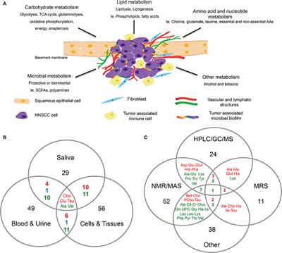 Metabolomics of Head and Neck Cancer: A Mini-Review